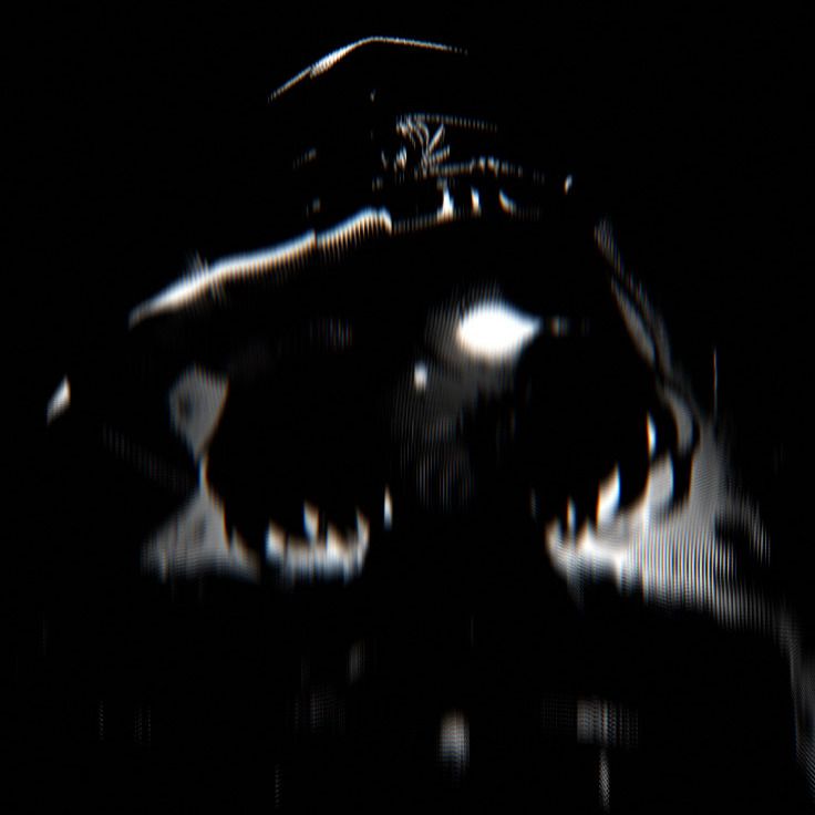 GLITCH